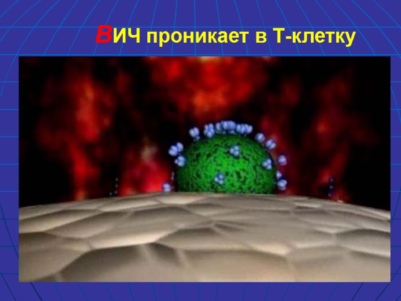 ВИЧ проникает в Т-клетку